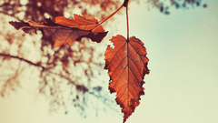 Cool photography soft nice