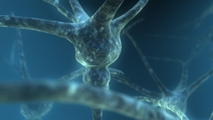 Cool screen but would dual appreciated anything