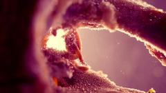 Cool thanks high Resolution