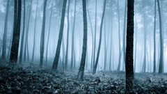 Copy landscaperedleaves