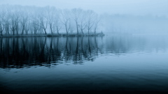 Copy landscapereflections