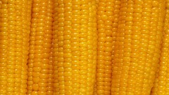 Corn