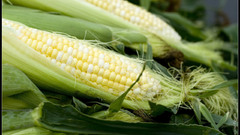 Corn