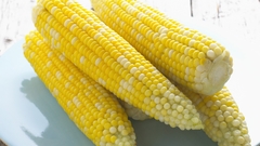Corn on The cob