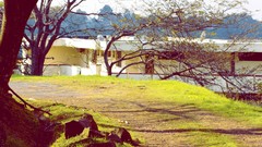 Corner terror TheYoungTerrorClub