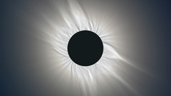 Corona vangorp big Got