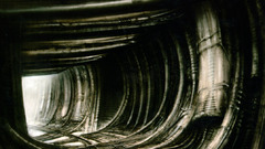 Corridor biolandscape Aliens architecture