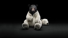 Costume Animals funny Bears