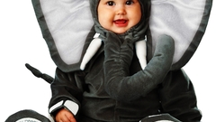 Costume baby elephants