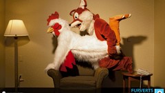 Costume funny furry fursuit