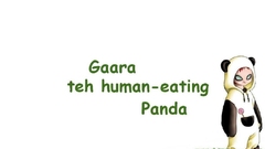 Costume naruto shippuden panda