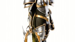 Costume world of warcraft cosplay blizzard entertainment