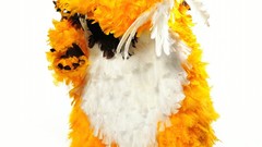 Costume world of warcraft cosplay blizzard entertainment