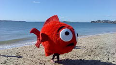 Costume WTF fish Beaches