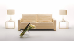 Couch Furniture