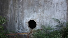 Could Be inside high