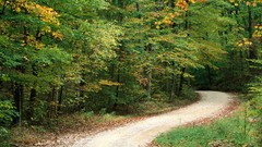 Country autumn roads