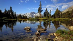 Country California Yosemite National Park national park
