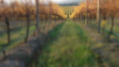 Country complex magazine