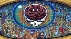 Country Music psychedelic rocks bands blues reggae The Grateful 