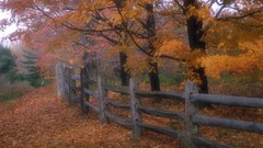 Country Ohio fences
