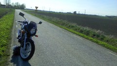 Country spring sweden Suzuki GS500