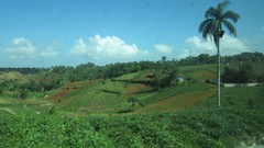 Countryside Haiti