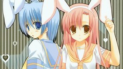 Couple school uniforms hayate no gotoku katsura hinagiku 