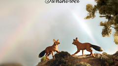 Cover This would make