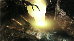 Covers Suffocation Music and