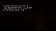 Cows Cocaine can we