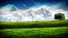 Cows Photomanipulation field artwork