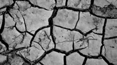 Crack grayscale monochrome