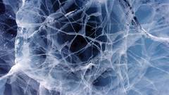 Cracked Sea ice abstract