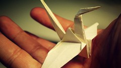 Cranes origami foldings