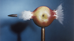 Crash ammunition apples