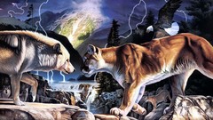 Creative Animals paintings duel Wolves Lions digital art 