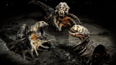 Creatures fantasy art