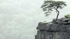 Creek autumn falls Parks Tennessee