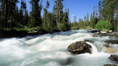Creek lakes idaho rivers forests