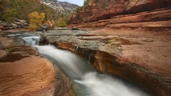 Creek nature Arizona rocks oak Parks state slide