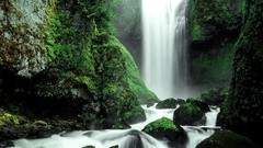 Creek nature moss Washington waterfalls forests National