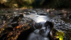 Creek nature rivers HDR Photography long exposure