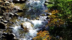 Creek nature Trees water autumn rocks streams waterscapes