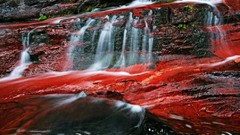Creek red colors