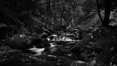 Creek stones nature black streams
