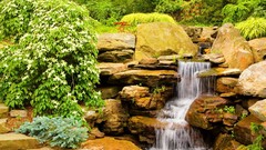 Creek stones nature Trees grass water Park Garden rocks forests