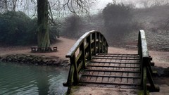 Creek water autumn dust