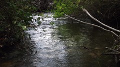 Creek water Mountains calm outdoors forests relaxing