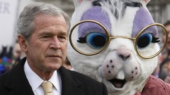 Creepy costume Celebrity rabbits